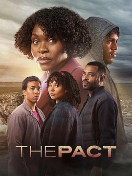 seo内容优化采用云速捷咨询